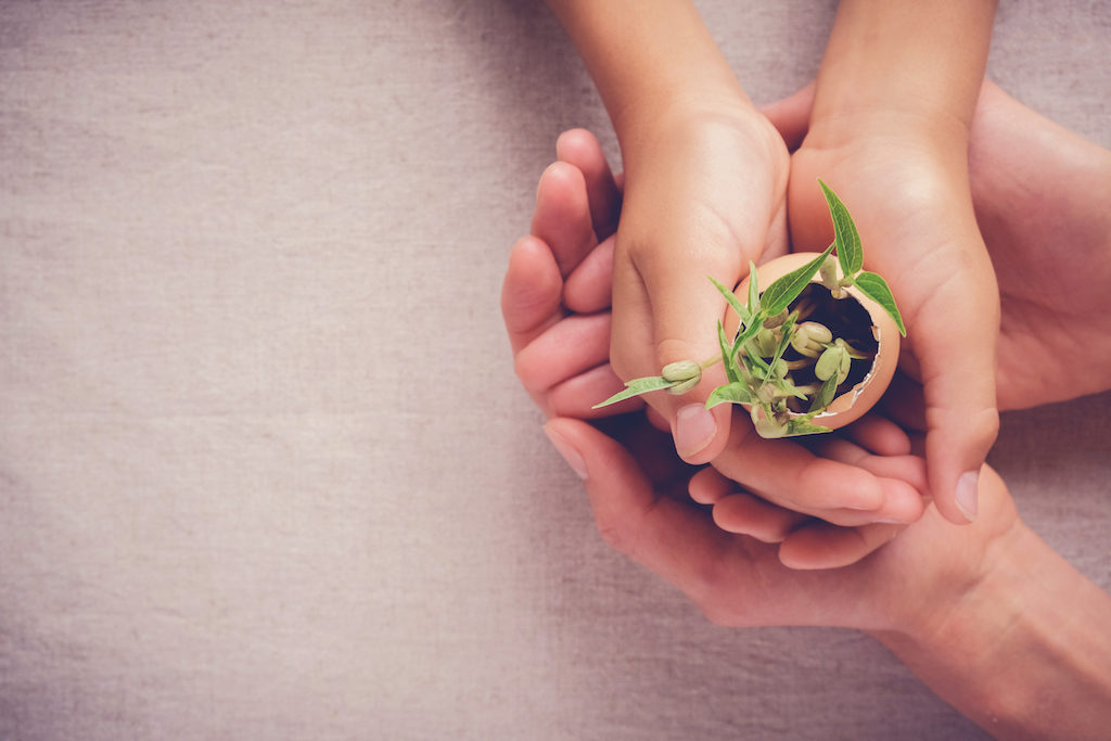 Sustainability & Social responsability
